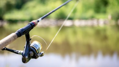 Hukum Memancing di Kolam Berbayar