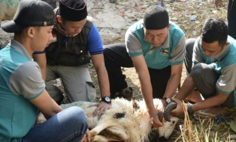 Adab dalam Ibadah Qurban