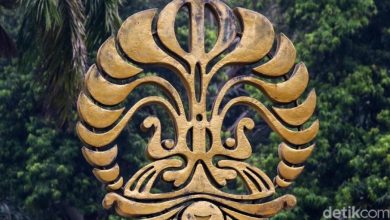 Kekerasan Seksual di Universitas Indonesia